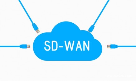 SD-WAN智能组网